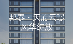 邦泰·天府云璟